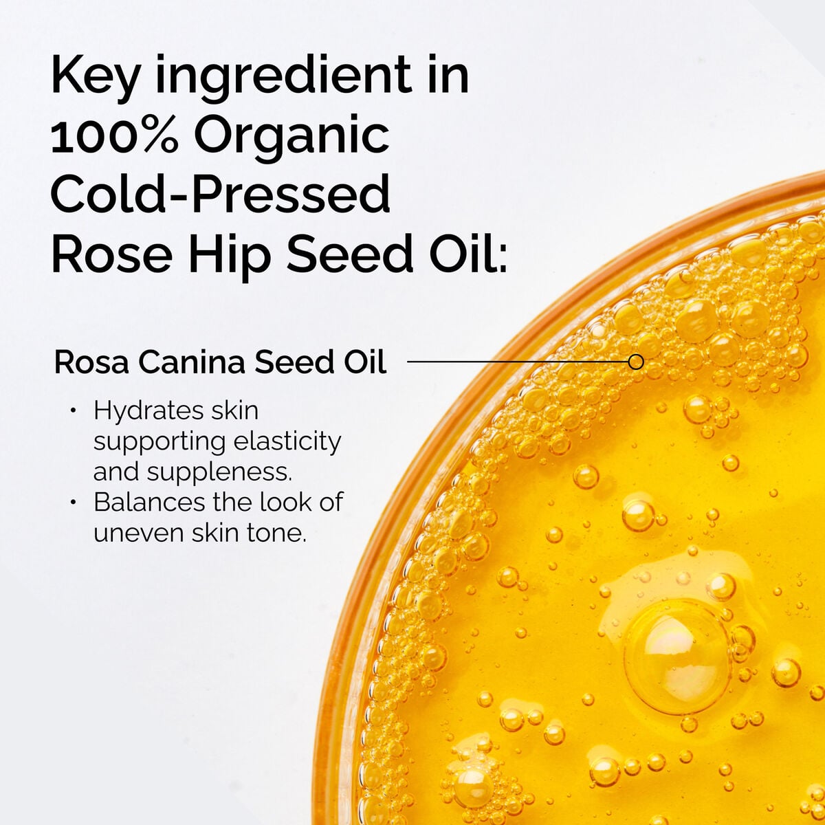 100-organic-cold-pressed-rose-hip-seed-oil-w2 FY25-D41247-ORD-Web-PDP-100-Rose-Hip-Oil-1x1-EN-2.jpg