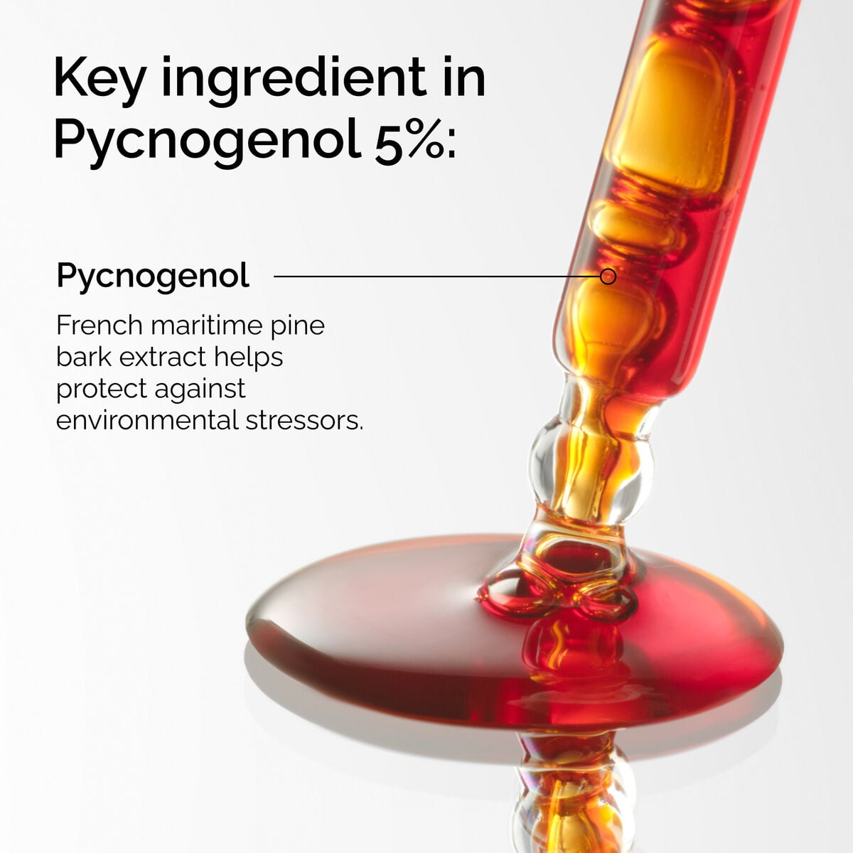 pycnogenol-5-j4 FY25-D41247-ORD-Web-PDP-Pyc-5pct-1x1-EN-2a.jpg